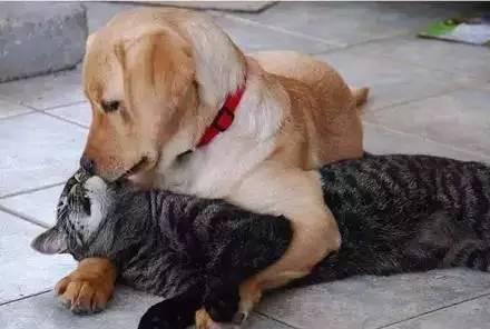 途游斗地主双11送万元微信红包